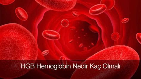 Diyabette kandaki hemoglobin normu